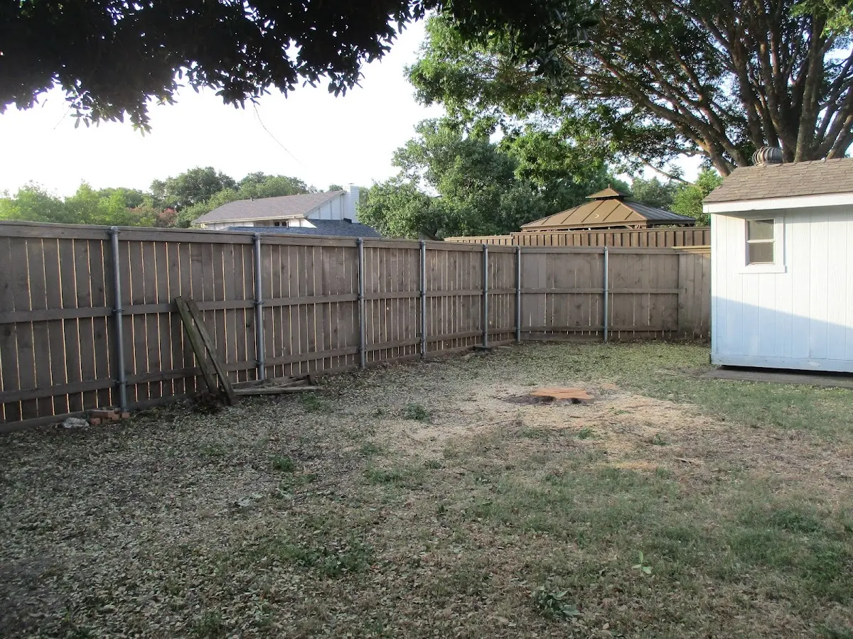 Cleared yard after professional tree removal in Browns Valley