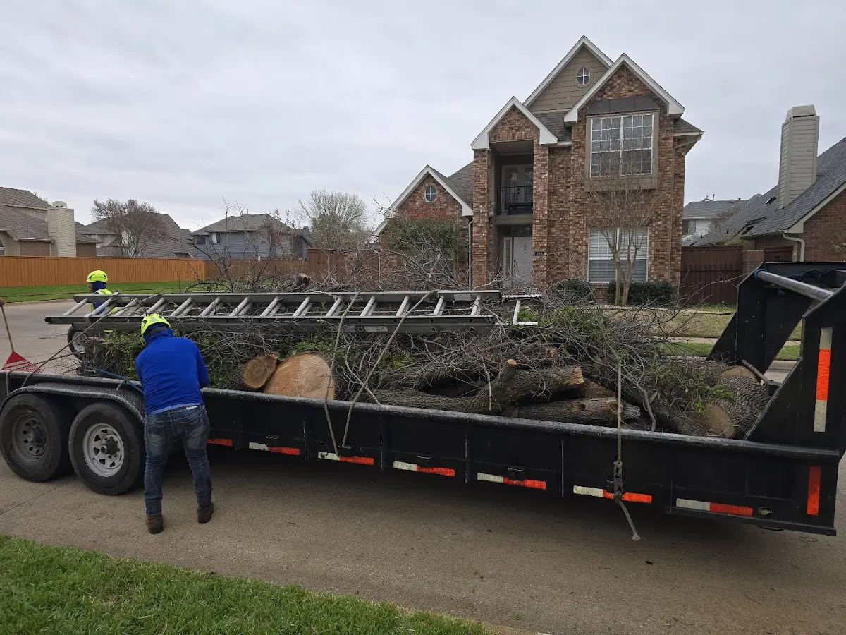 Expert Tree Fertilization with proper safety equipment in Browns Valley